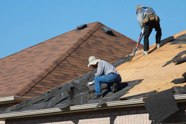 Best Roof Maintenance and Cleaning  in Twin Lakes, NM